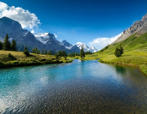 Créez l'ultime campement pour une nuit de camping mémorable et inoubliable!