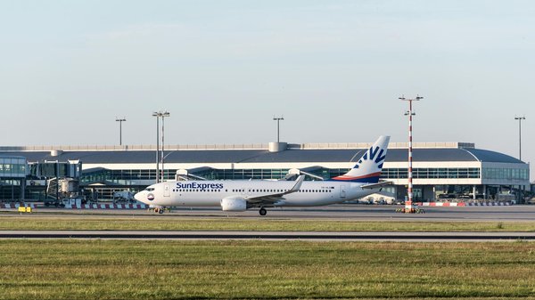 Aventures en location avec un animal exotique : conseils et solutions pour un séjour inoubliable !