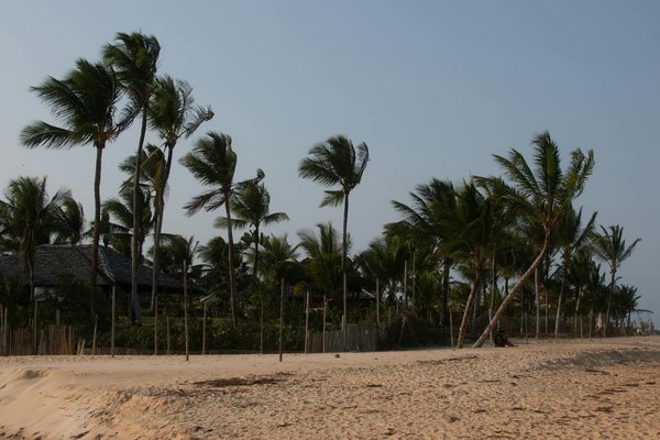 Les musées d'art contemporain à ne pas manquer